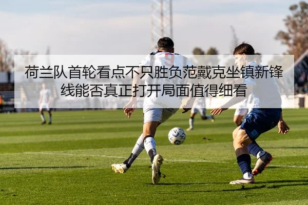 荷兰队首轮看点不只胜负范戴克坐镇新锋线能否真正打开局面值得细看